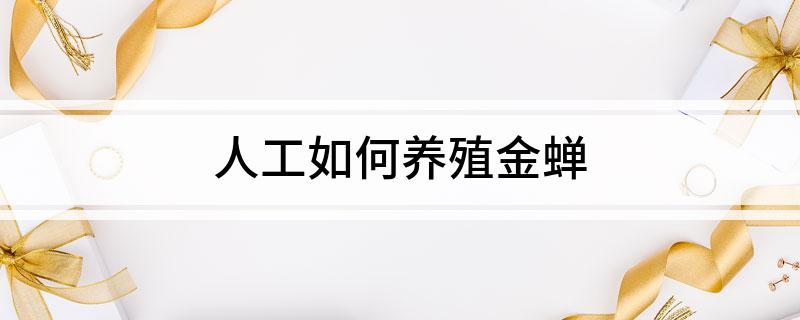 人工如何养殖金蝉(图1)