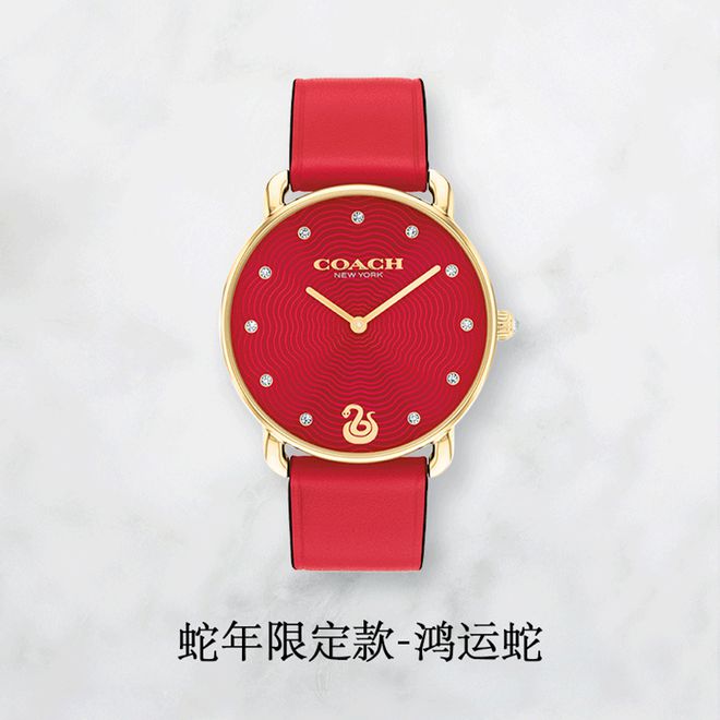 买一赠六！美到窒息COACH蔲驰蛇年限定手表还送手链戒指(图3)
