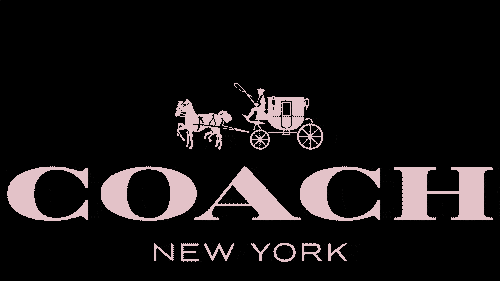 买一赠六！美到窒息COACH蔲驰蛇年限定手表还送手链戒指(图6)