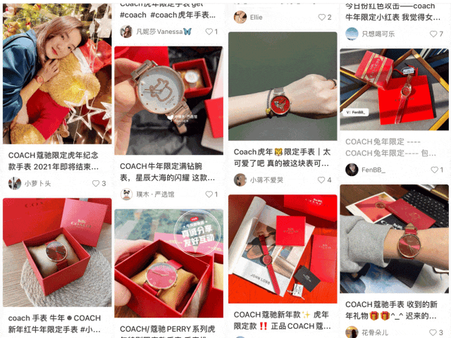 买一赠六！美到窒息COACH蔲驰蛇年限定手表还送手链戒指(图10)