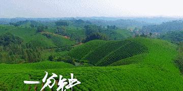 中国十大养老宜居城市堪称退休者的天堂！你中意哪座？(图52)