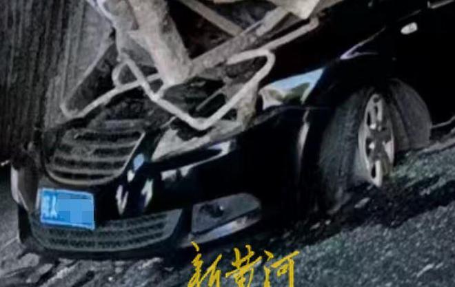 命可真硬！轿车被压成铁饼人却没事国产车标志成亮点(图11)