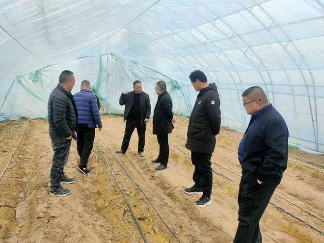 高法滨的芦笋致富路：黄河滩的绿色耕耘(图3)