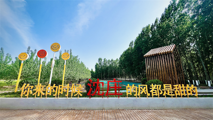 沿着黄河遇见海丨高唐县：黄河故道上的绿色振兴之地_山东_大众网(图2)