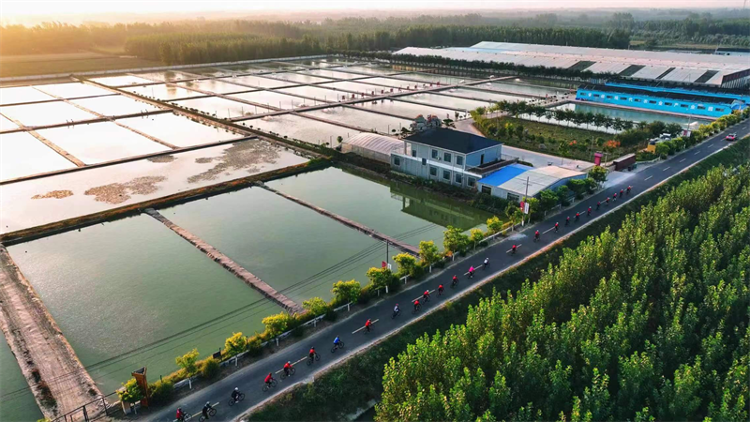沿着黄河遇见海丨高唐县：黄河故道上的绿色振兴之地_山东_大众网(图4)