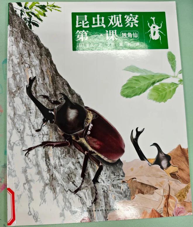 唐图荐读丨探索动物王国：绘本中的孩子与自然(图10)