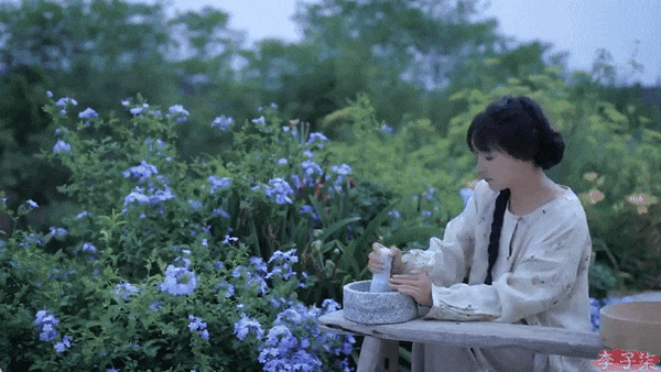 李子柒归来弹钢琴唱《如愿》停更3年经历了什么｜大象夜读(图2)
