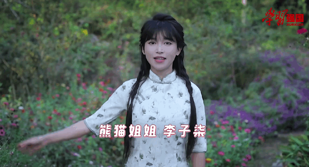 李子柒归来弹钢琴唱《如愿》停更3年经历了什么｜大象夜读(图3)