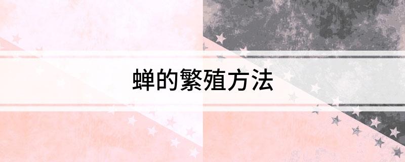 蝉的繁殖方法(图1)