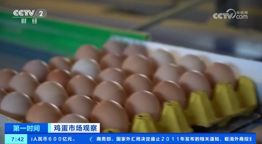 鸡蛋消费进入旺季蛋鸡养殖效益处于高水平养殖户积极扩栏(图3)