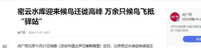 密云水库：一年投放800吨鱼苗为什么会成为北京人的“鱼库”？(图11)