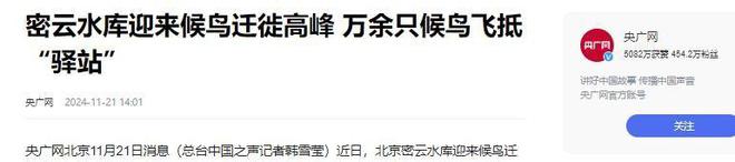 密云水库：一年投放800吨鱼苗为什么会成为北京人的“鱼库”？(图13)