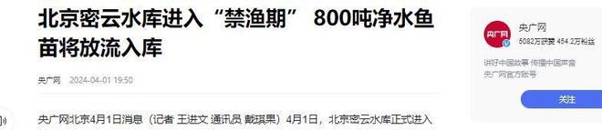 密云水库：一年投放800吨鱼苗为什么会成为北京人的“鱼库”？(图15)