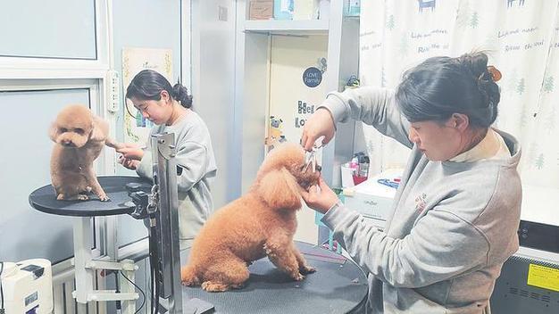 不出意外的线月起国内会迎来五大趋势每个人都该提前了解！(图13)