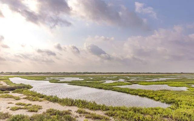 世界湿地日保护湿地以自然之道应对气候危机(图5)