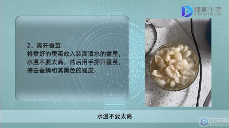家庭养蚕的方法和注意事项。(图2)
