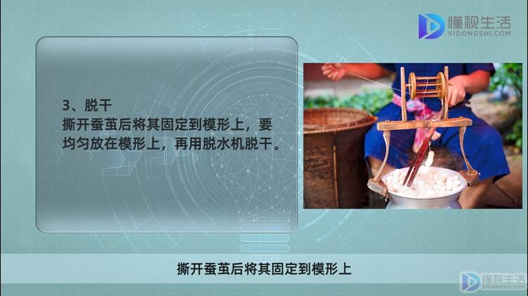 家庭养蚕的方法和注意事项。(图3)