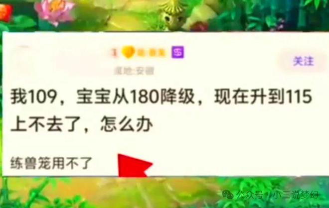 梦幻西游：五开的正确用法五个号分开带队每周每个号保底赚1140W(图4)