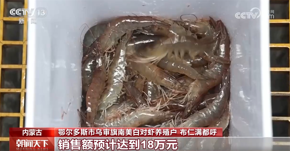 物流、养殖双“给力”为假日海鲜抢“鲜”上市按下“加速键”(图5)