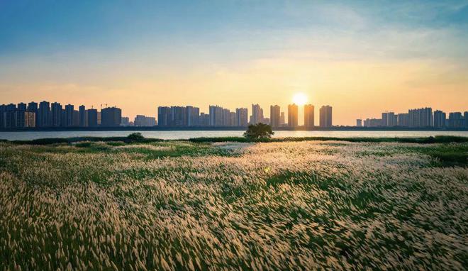 限定开放！广东南海大地艺术节进入春时展期！预约指南(图3)