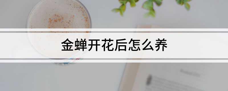 金蝉开花后怎么养(图1)