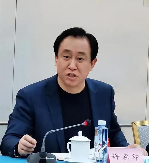 许家印干得最“虎”的一件事：填海造陆豪掷1600亿搞海花岛项目(图23)