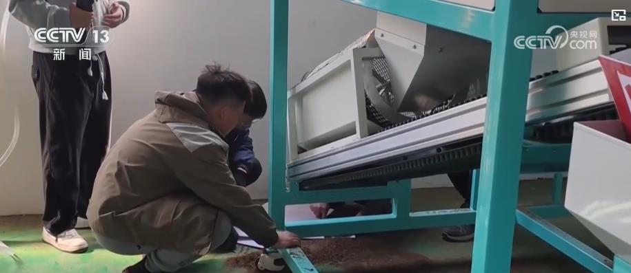从手插秧到智能育秧：新科技赋能农业生产“指尖种田”种出“万亩粮仓”(图1)