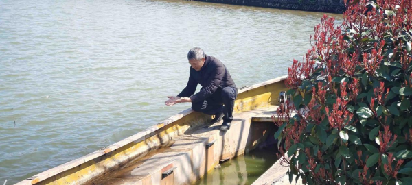 江苏镇江：生态化养殖甲鱼“游”出乡村振兴新活力(图2)