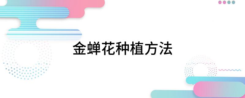 金蝉花种植方法(图1)