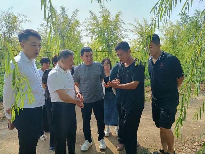 土里也能钻出“金疙瘩”整个夏季可收入40余万元(图3)
