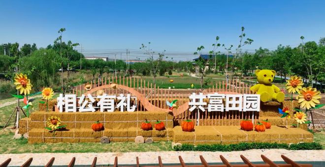 土里也能钻出“金疙瘩”整个夏季可收入40余万元(图7)