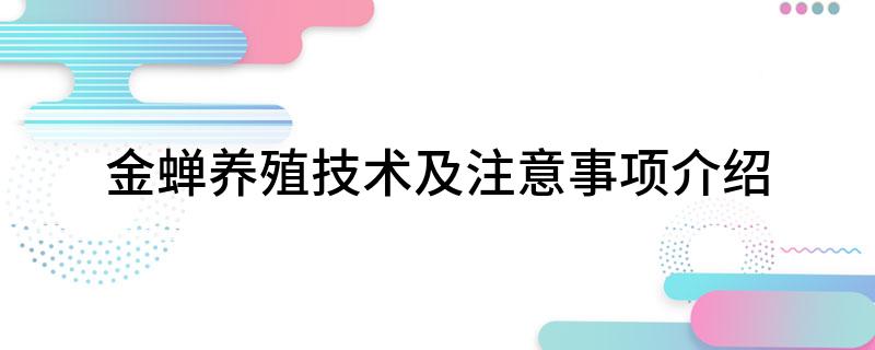 金蝉养殖技术及注意事项介绍(图1)