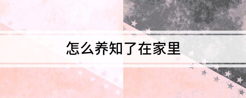 养知了在家里方法怎么养知了在家里(图1)