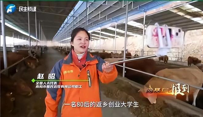 两会之后为何全网都在质疑全国人大代表赵昭回乡养牛创业？(图18)