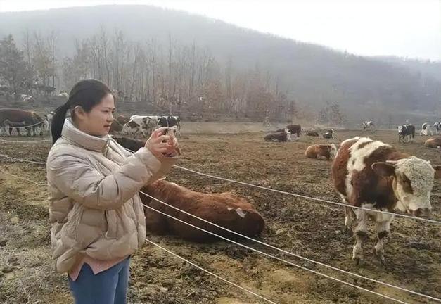 两会之后为何全网都在质疑全国人大代表赵昭回乡养牛创业？(图20)