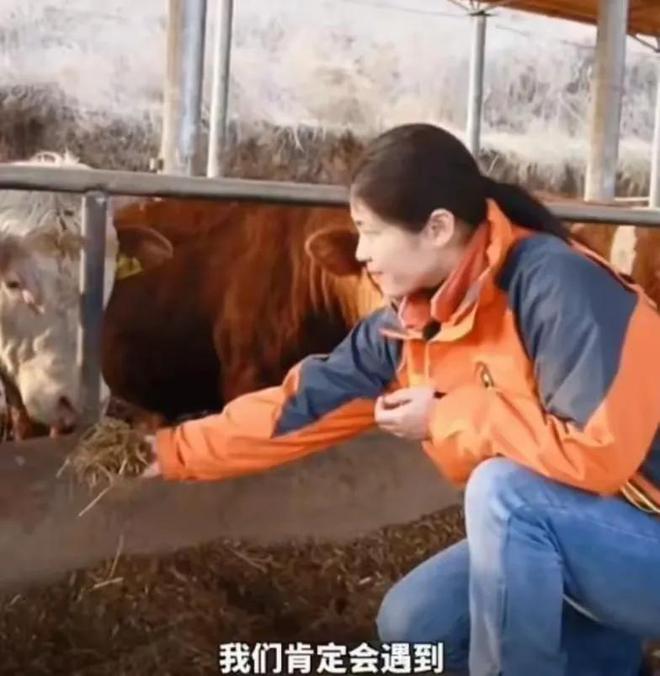 两会之后为何全网都在质疑全国人大代表赵昭回乡养牛创业？(图32)