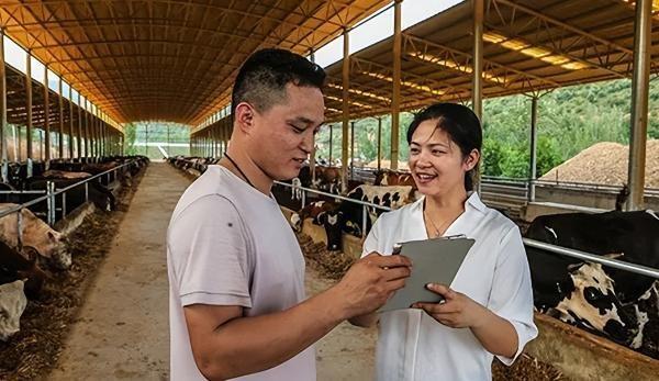 两会之后为何全网都在质疑全国人大代表赵昭回乡养牛创业？(图11)