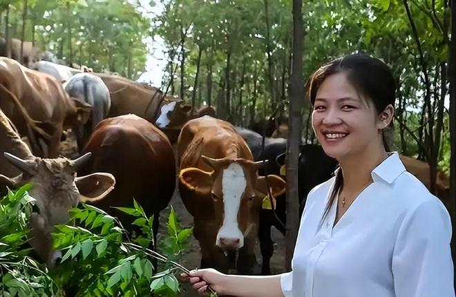 两会之后为何全网都在质疑全国人大代表赵昭回乡养牛创业？(图8)
