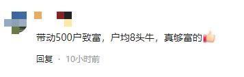 两会之后为何全网都在质疑全国人大代表赵昭回乡养牛创业？(图7)