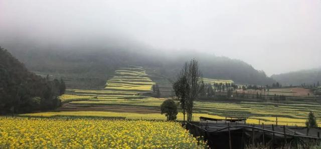 云南文山州马关县可能是下一个旅行大爆地(图9)