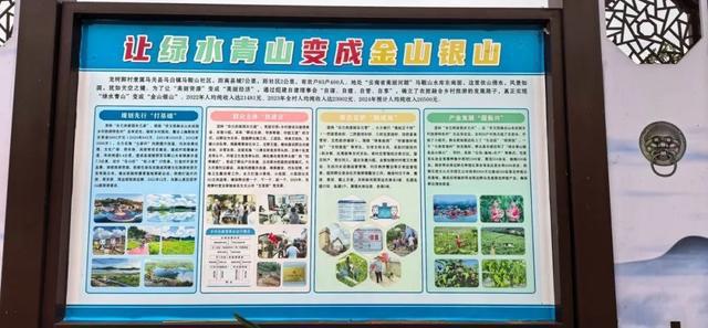 云南文山州马关县可能是下一个旅行大爆地(图10)