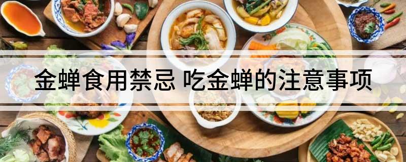 金蝉食用禁忌(图1)