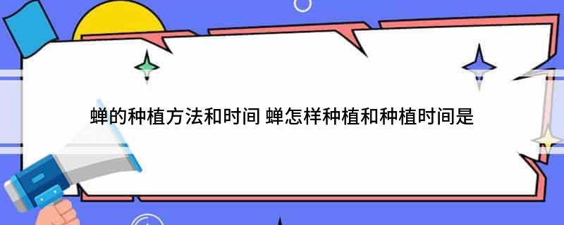 蝉的种植方法和时间蝉怎样种植和时间是(图1)