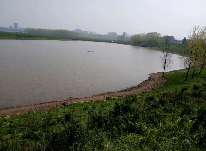 鱼也怕冷？萍乡一湖面漂浮大量被冻晕的红眼鲮男子含泪捞了一盆(图1)