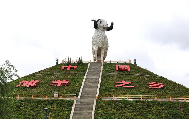 宁夏奇迹3：宁夏羊肉甲天下一场大捷缔造的盐池滩羊传奇(图1)