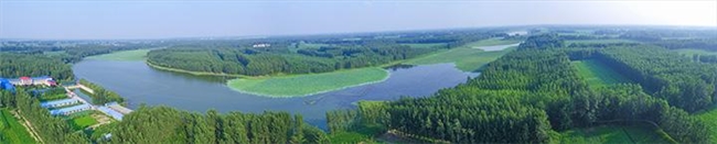 黄河故道新农新貌----记农民企业家袁兴丽(图2)