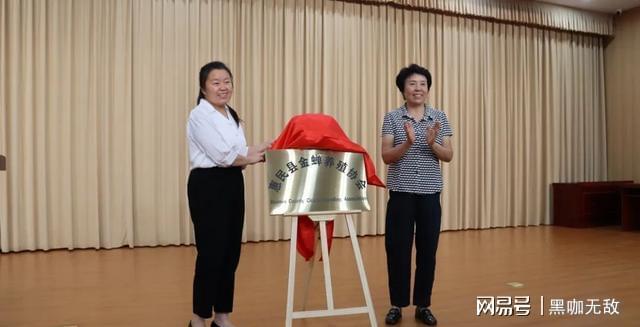 暴雨逼近金蝉养殖地这几招能护好咱的“土黄金”(图4)