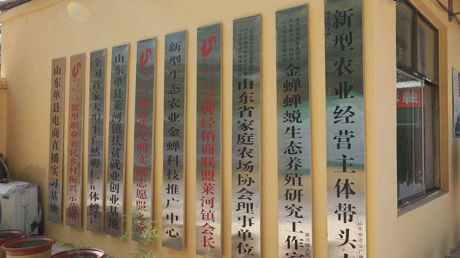 单县莱河镇：金蝉特色养殖拓宽群众增收致富路(图8)