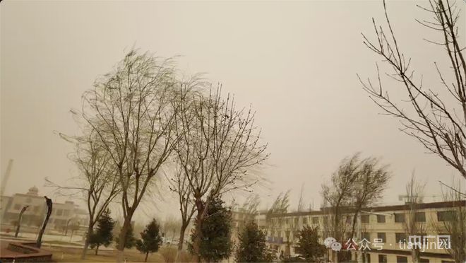 非必要不出门！大风吹进天津了吗？天津地铁部分线路及车站临时停运！(图41)