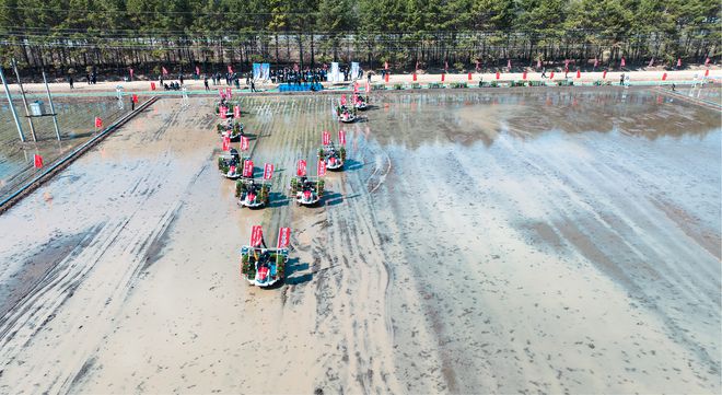 黑土之声｜营养型农业让咱“吃得好”(图1)